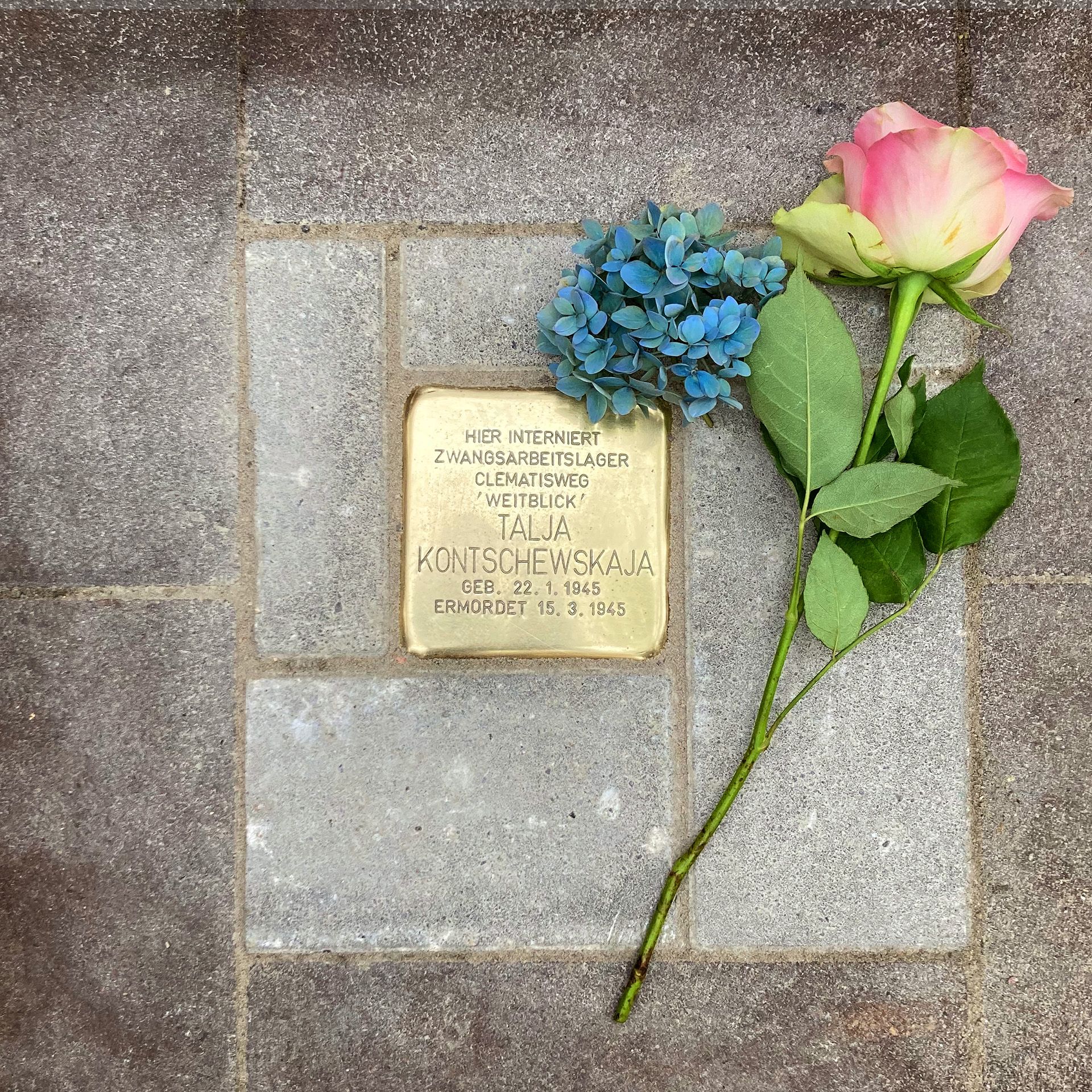Stolpersteinlegung am 13.11.2022 in der Straße Clematisweg, Ecke Stresemannallee in Hamburg. Foto: Joerg Kilian / Forum Kollau